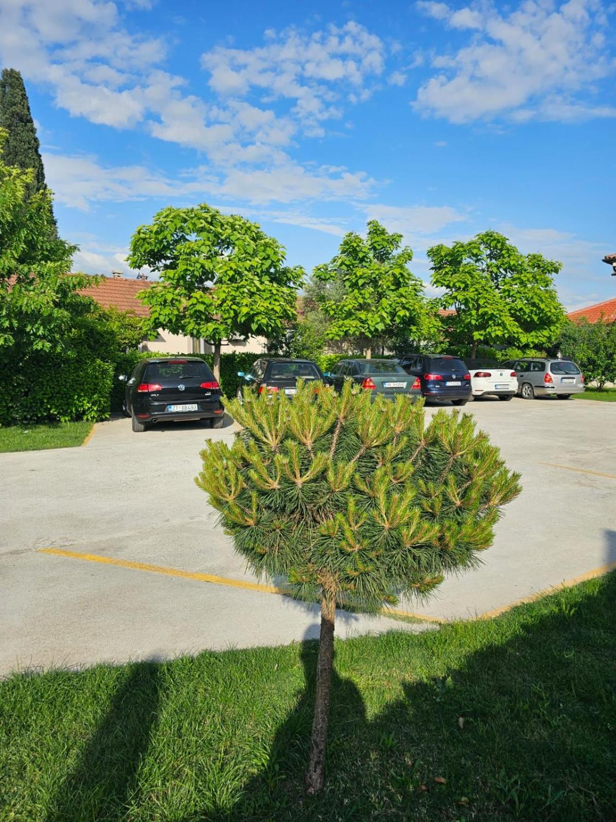 Apartments Aerodrom Podgorica Exterior foto
